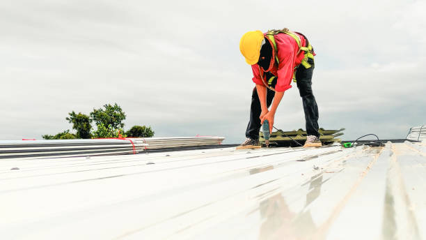 Best Roof Ventilation Installation  in Holly Ridge, NC